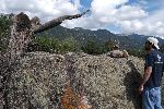 15_2008-0830-1549-35.jpg